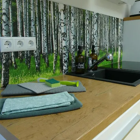 Innenstadt - 110m2 Wunderschoener Altbau Am Landesmuseum Mit 3 Schlafzimmern Und 2 Baedern 아파트 그라이프스발트